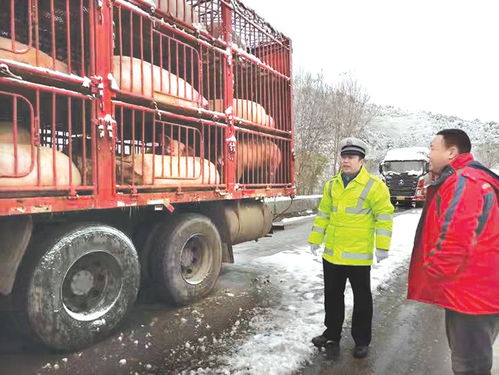 用熱情澆筑平安——交警三大隊(duì)三中隊(duì)交通管理工作紀(jì)實(shí)